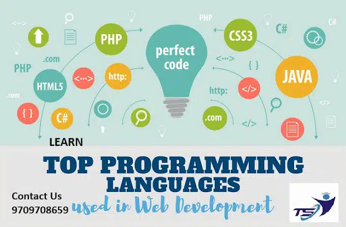 Top Programming Languages